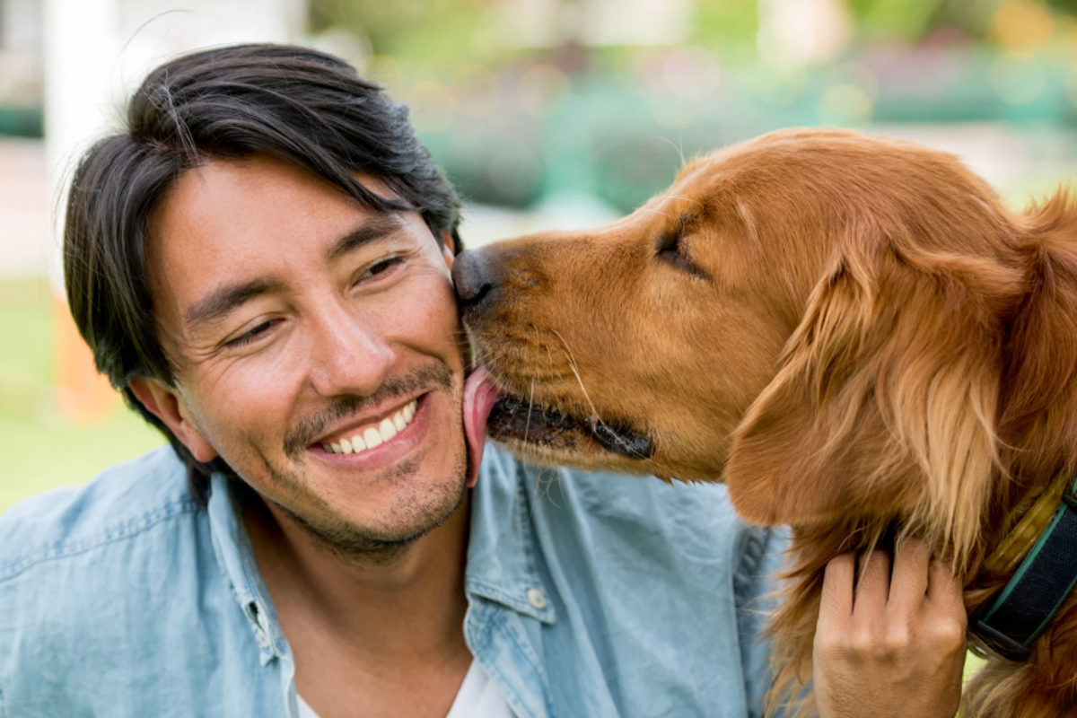 dog experiments, dog tongue cleaner than humans, experiments by kids, cool science, dogs, fun science, experiments, science