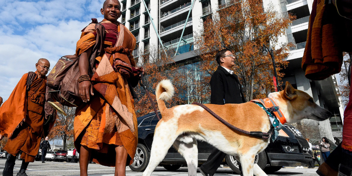 Why Buddhist monks (and one very good rescue dog) are walking 2,300 miles across America for peace