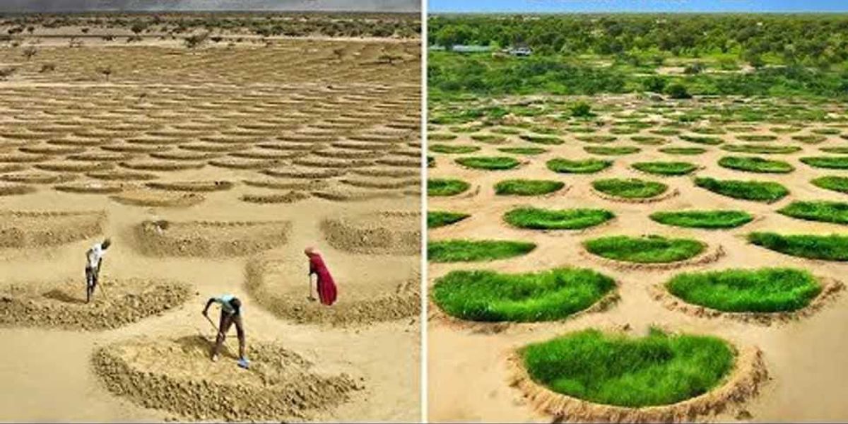 Half-Moon Method: Desert to Farmland Transformation