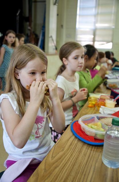 school lunch, South Korea, American food, nutrition, viral photo, Reddit, food culture