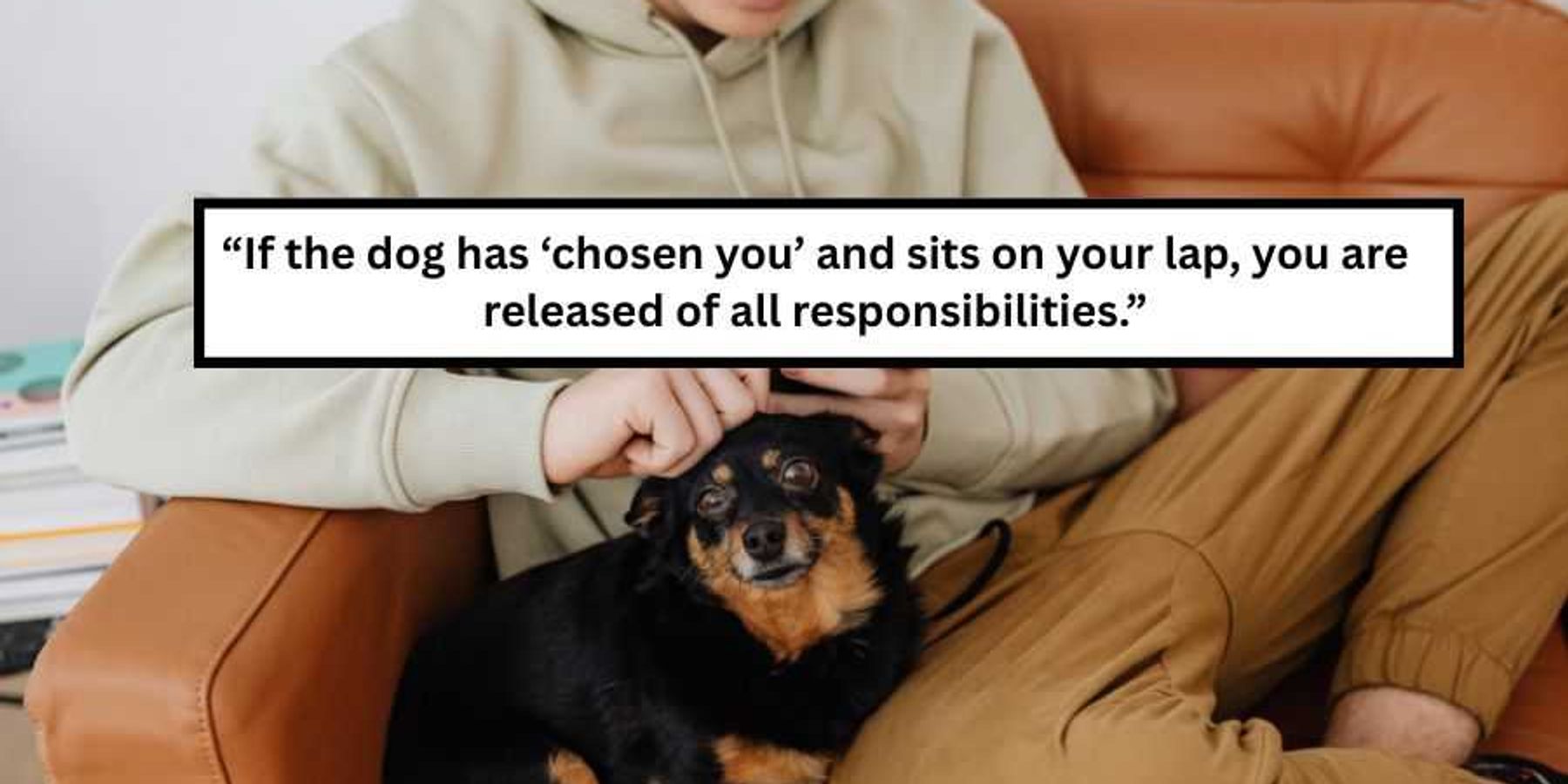 tips for happy marriage, happy marriage, relationships, relationship advice, ask reddit, couples, happy couple, chores