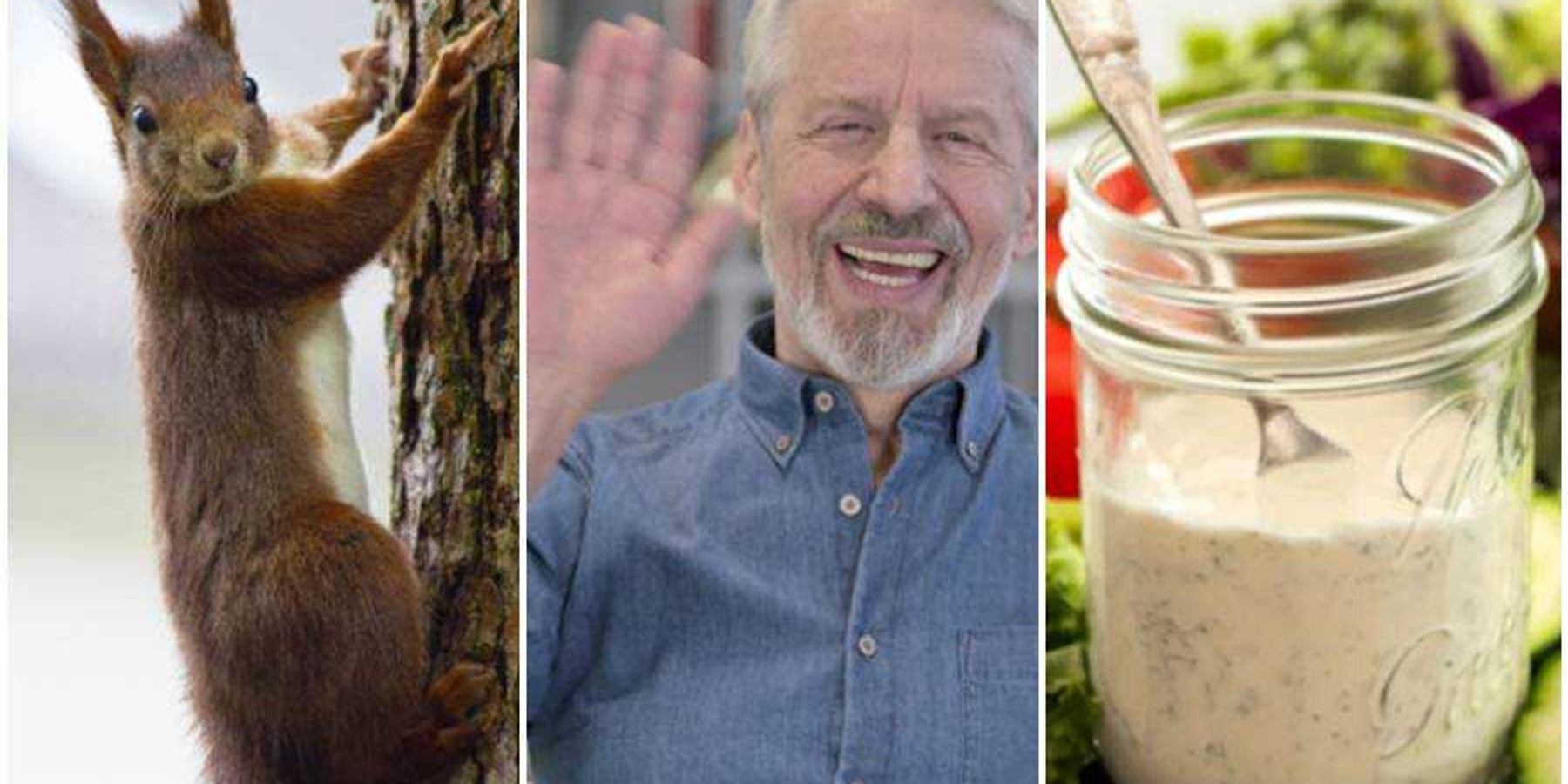 squirrel, waving man, ranch dressing, american things, rodents