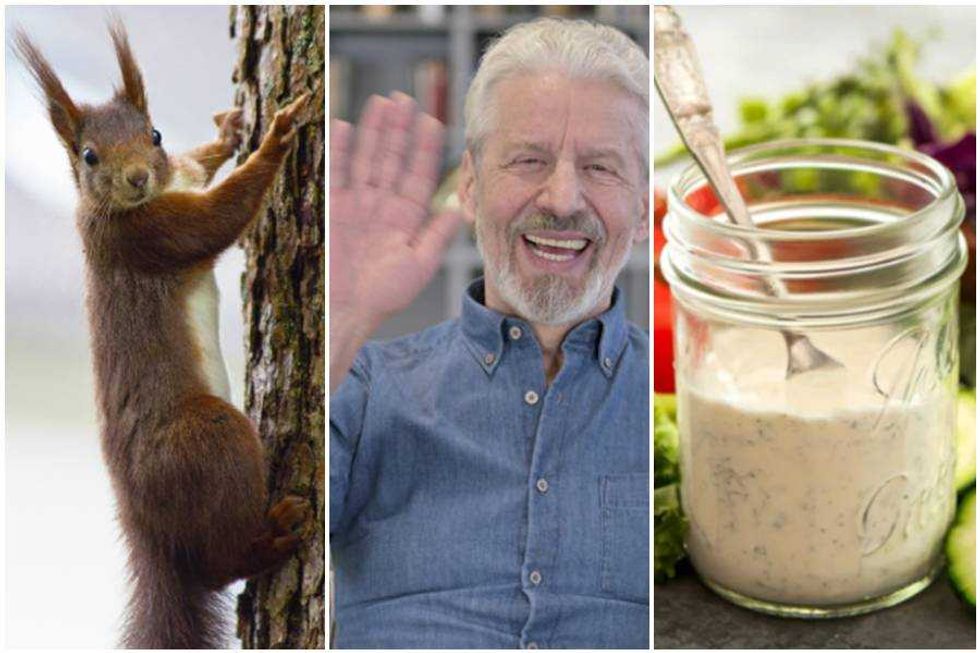 Non-Americans share the 15 strangest things they didn't expect when visiting the United States