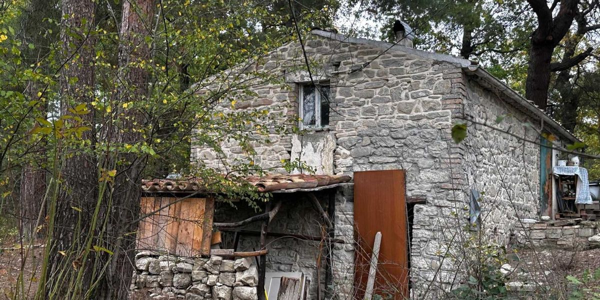 Il potere dà del pazzo a chi non si conforma Il potere dà del pazzo a chi non si conforma