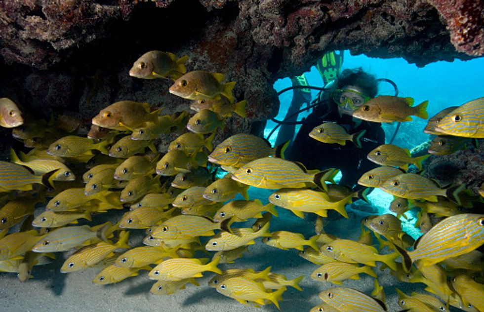Best Place to Go Scuba Diving in Your Own Backyard