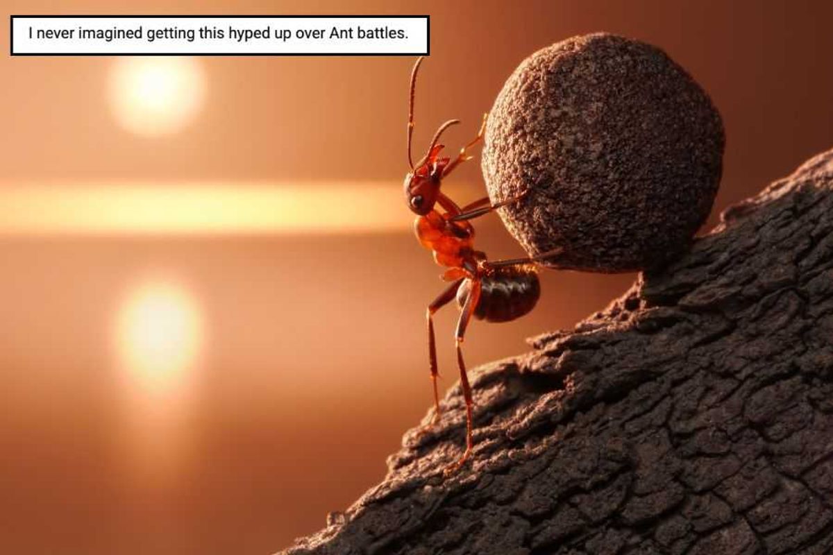 argentine ants, invasive ants, ants in california, fire ants, idea soup, michael mcbride, ant wars, edutainment, interesting facts, fun facts, science