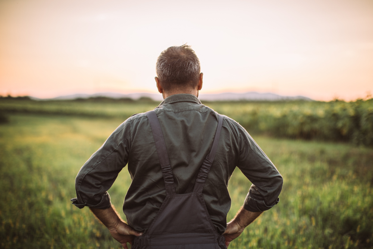 farm, farmers, France, prison, rehabilitation