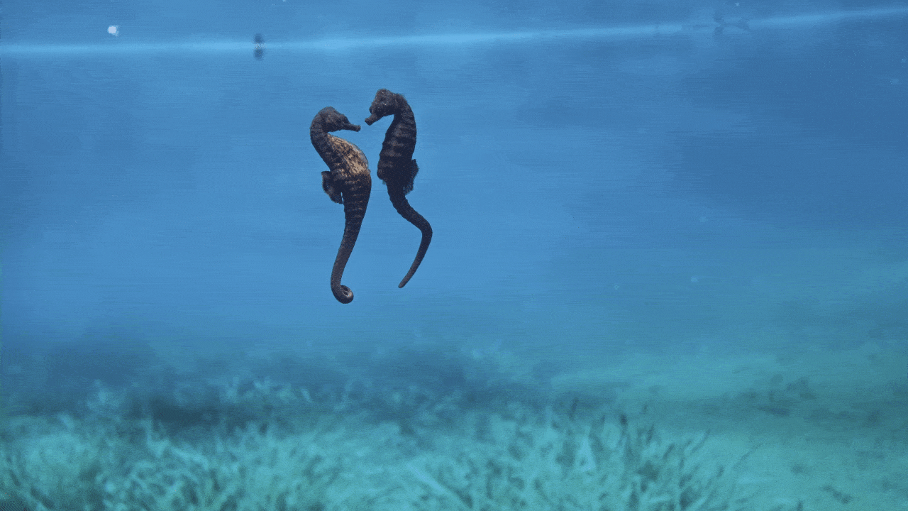 Our favorite giveaway is back. Enter to win a free, fun date! 