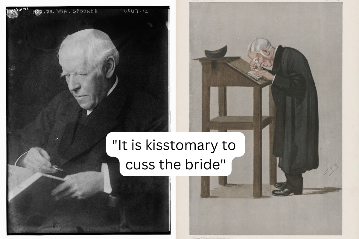 spoonerism, william archibald spooner, w.a. spooner, english language, english, language, words, diction, phonetics