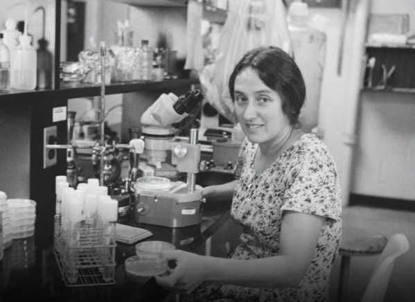 lynn margulis, lynn margulis symbiosis, biology, scientific breakthroughs, darwin, darwinism, women in science