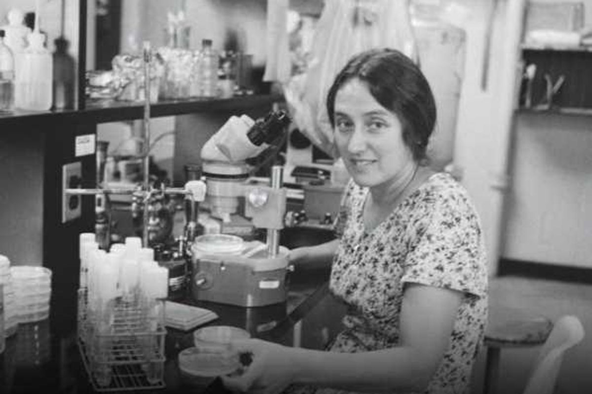 lynn margulis, lynn margulis symbiosis, biology, scientific breakthroughs, darwin, darwinism, women in science