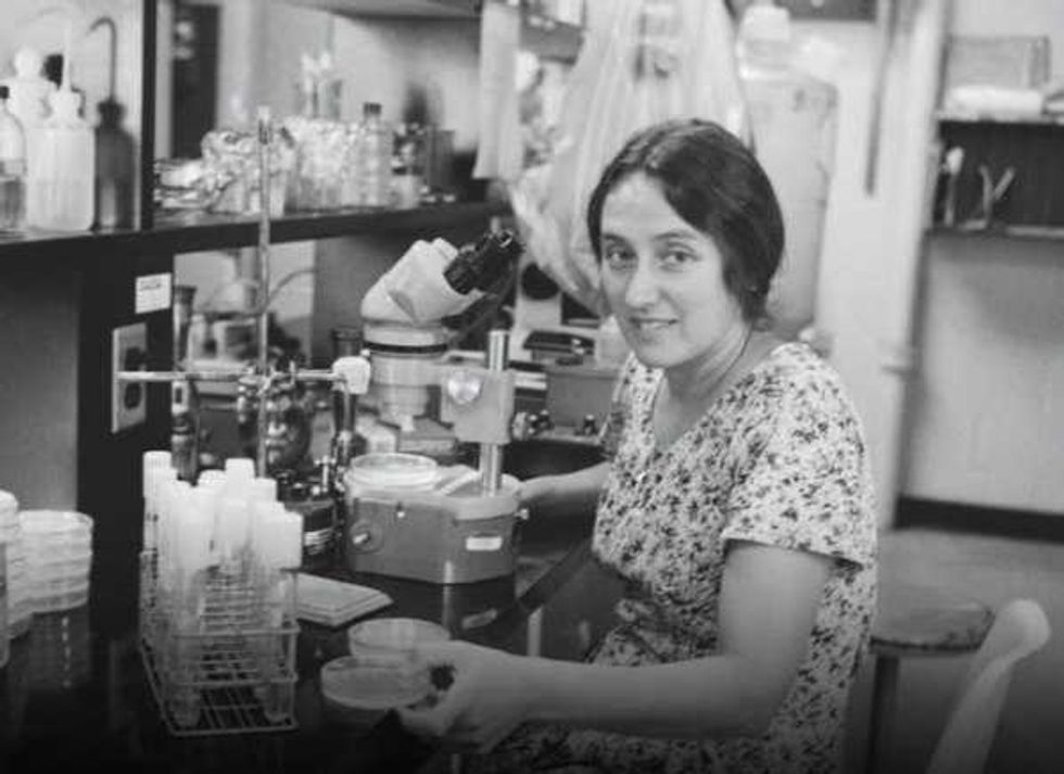Her groundbreaking theory on the origin of life was rejected 15 times. Then biology proved her right.