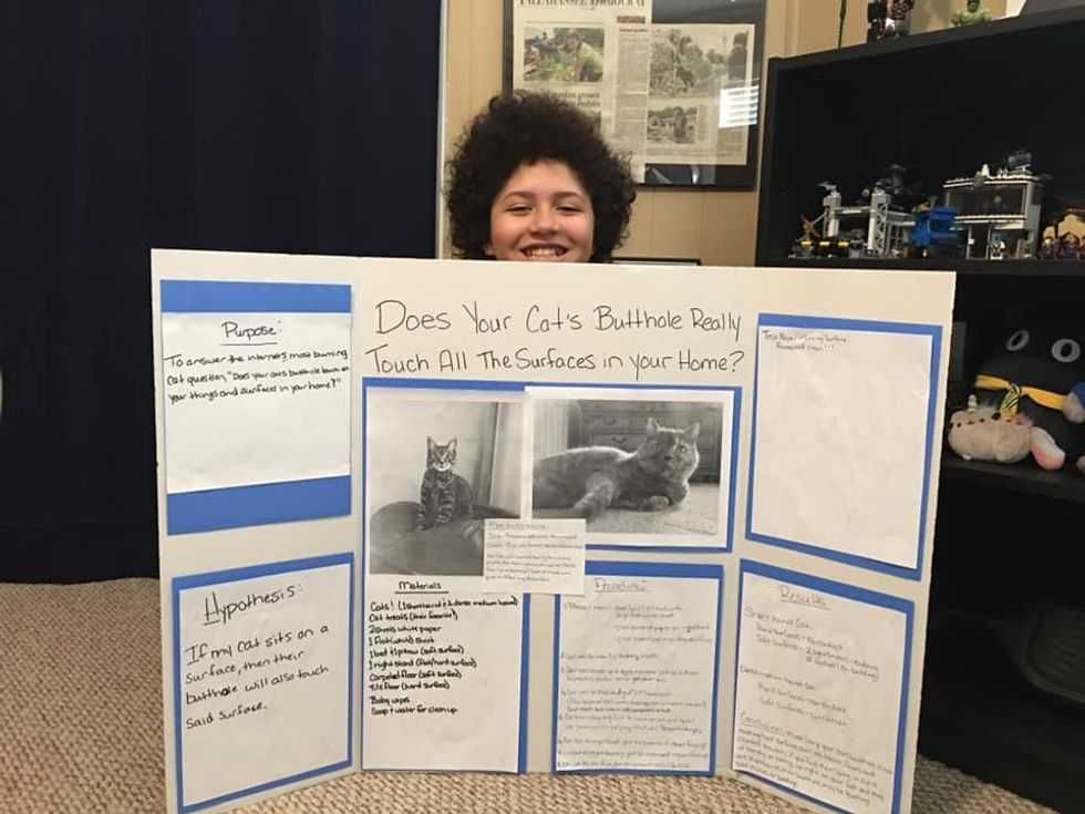 cats; pets; cat lovers; cat parents; cats on counters; cat butts, pets, animals, humor, funny, science