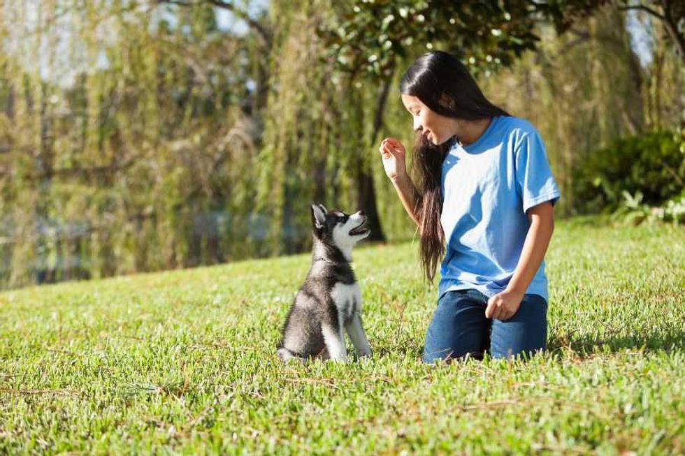New study reveals dogs are smarter than originally thought, anticipating unsaid commands