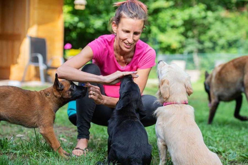 dogs; smart dogs; Duke study; dogs read minds; puppies; puppies vs wolf pups