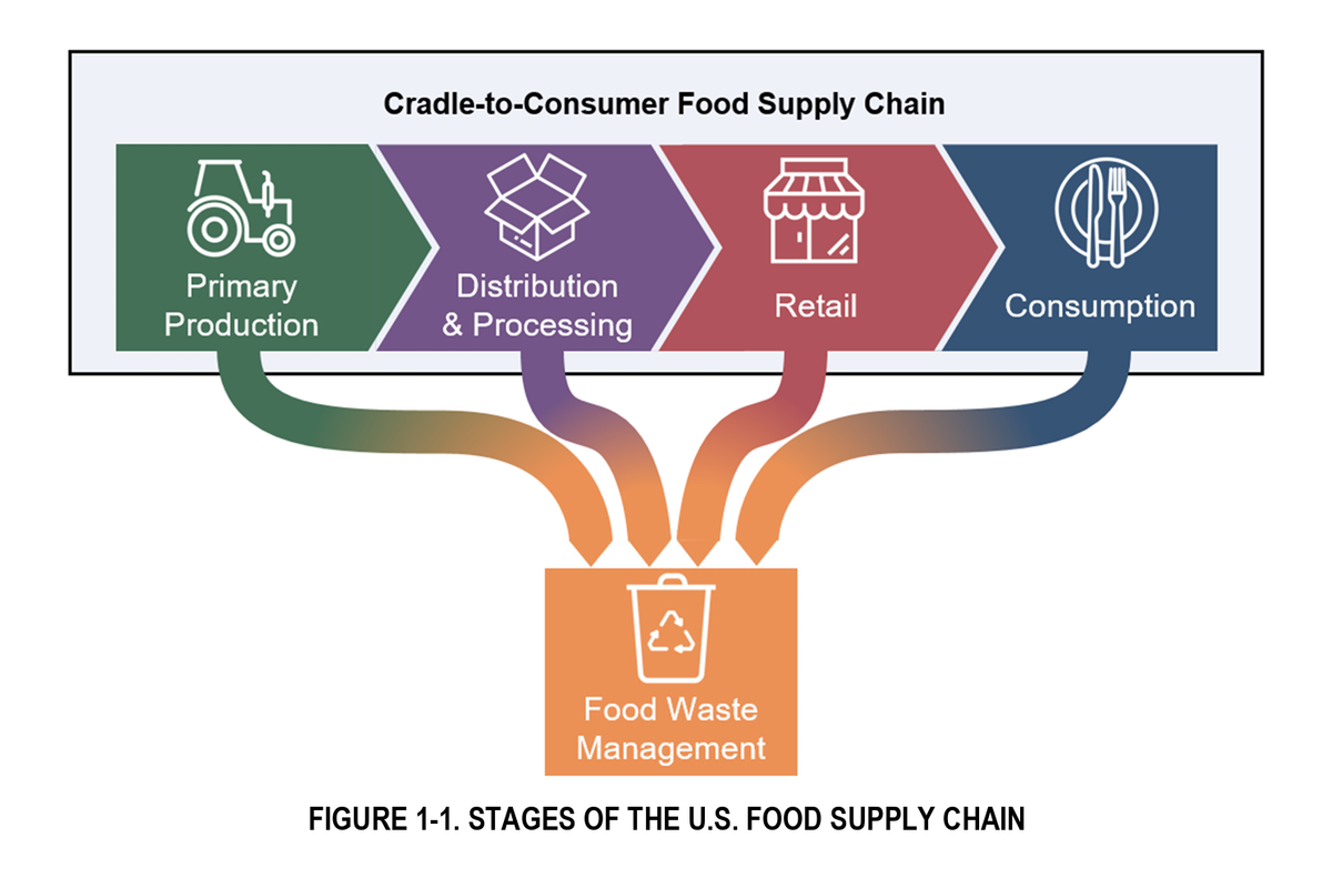 food, waste, america, issue, consumption