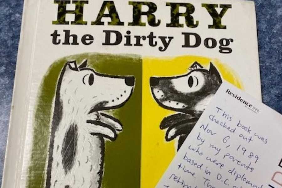 library book, children's book, harry the dirty dog, overdue library book, chantilly regional library