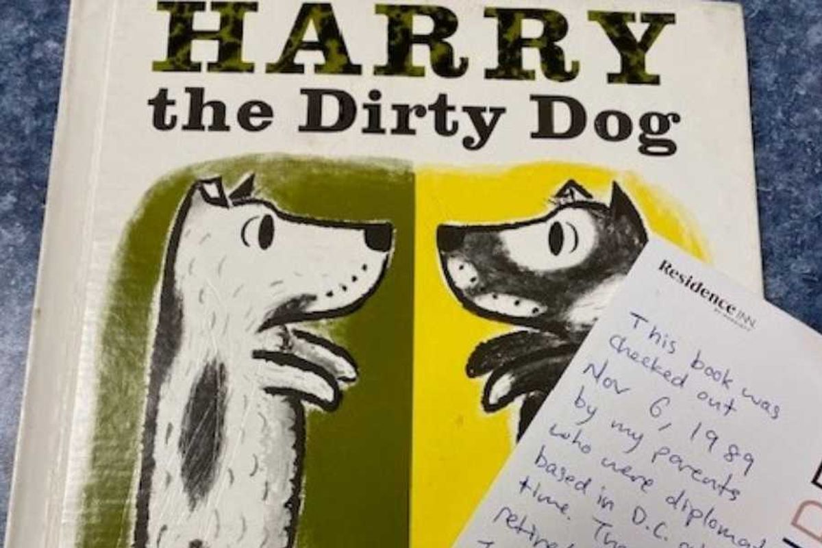 library book, children's book, harry the dirty dog, overdue library book, chantilly regional library