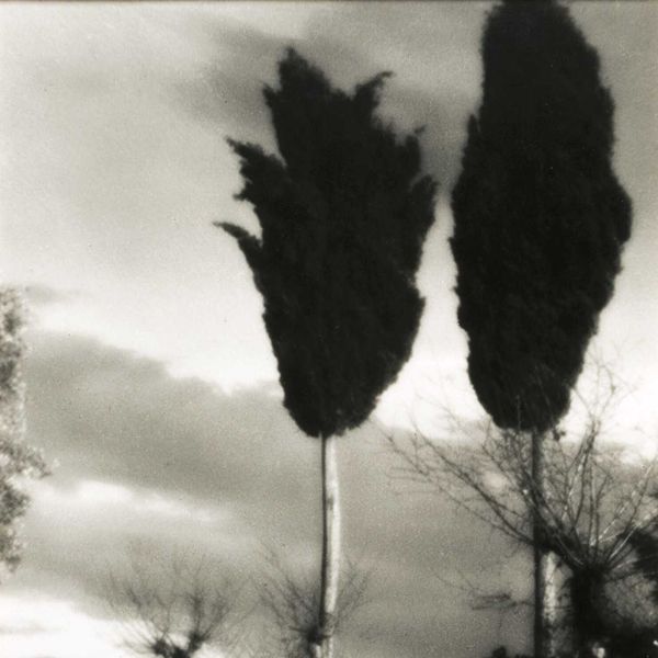 Il Bianco e il Nero in mostra a Milano