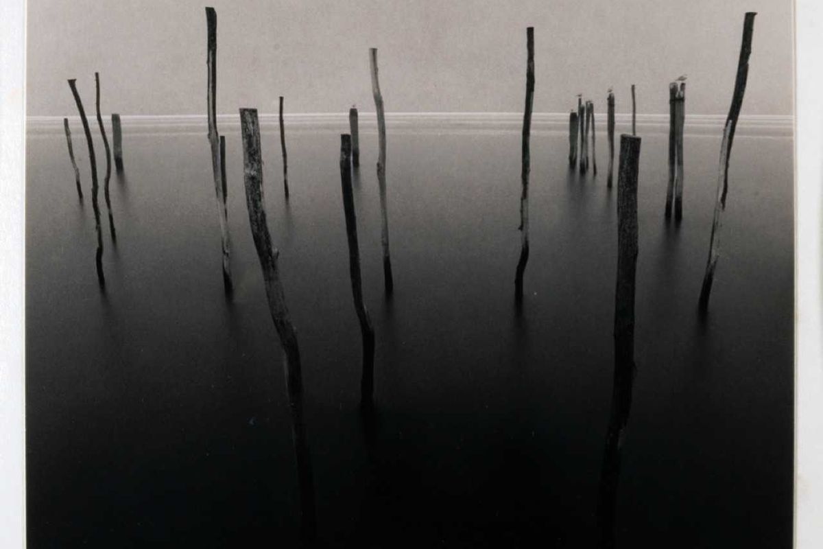 Il Bianco e il Nero in mostra a Milano