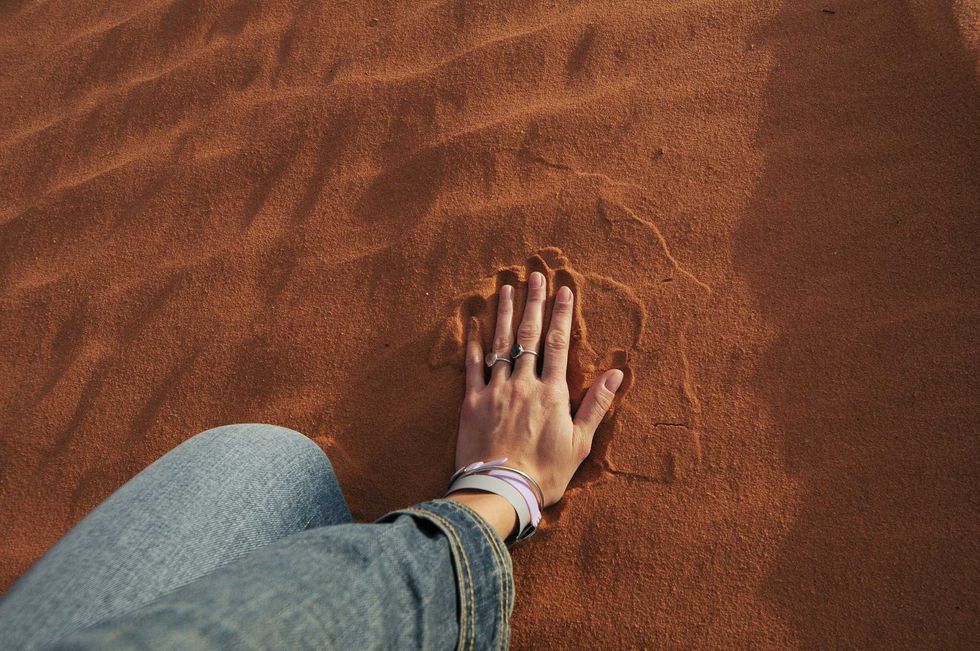 science, scientific research, remote touch, human touch, five senses, sixth sense, seventh sense, shorebirds, tactile foraging