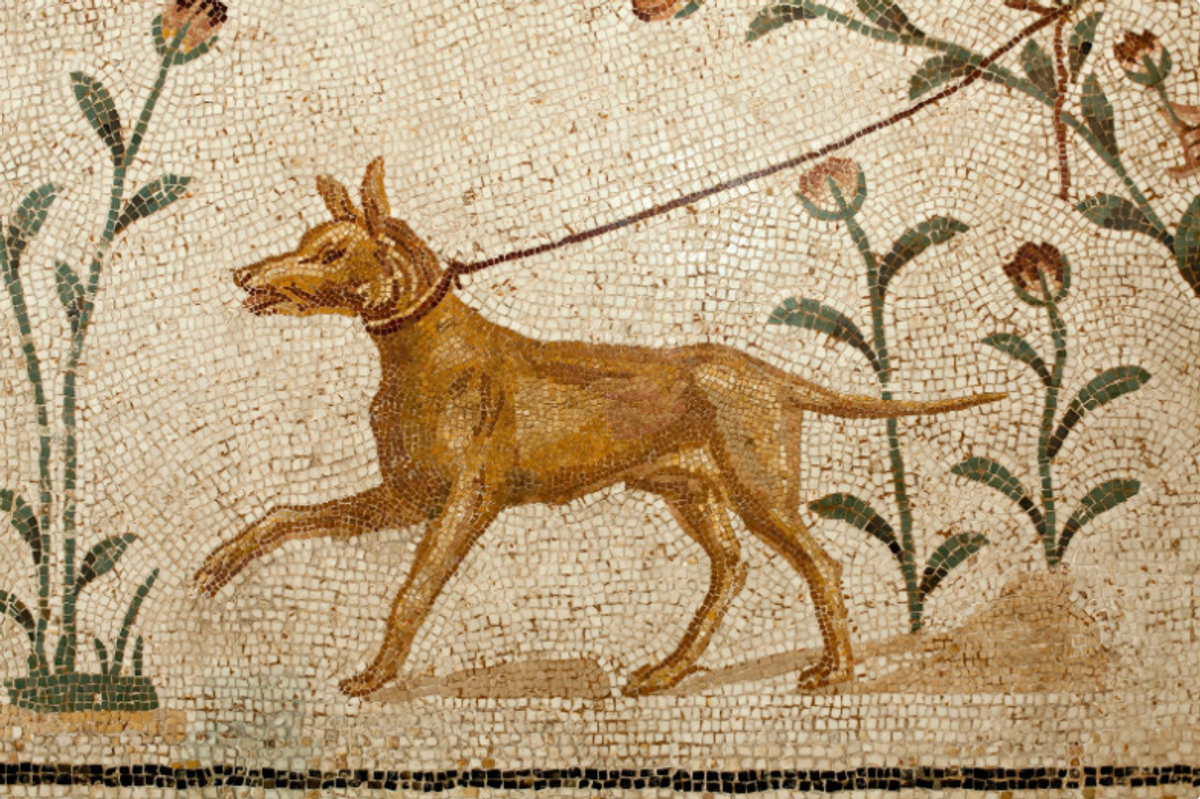 ancient romans, romans, dogs, roman dogs, dog epitaphs, dog graves, epitaph