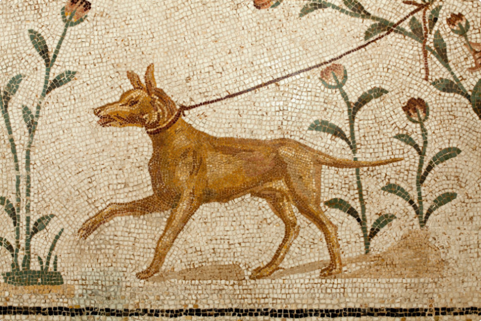 Ancient Romans loved their dogs. Here's what their heartbreakingly beautiful epitaphs said about them.
