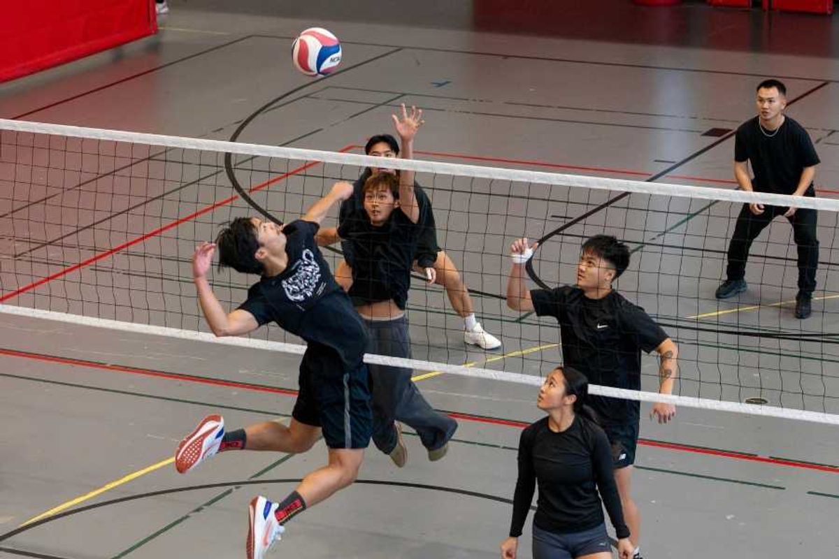 japan, japanese, volleyball, culture, apology