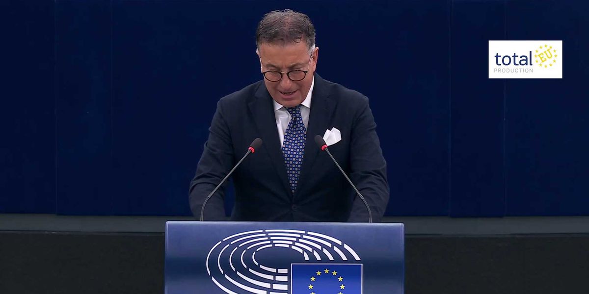 sicurezza gambino rafforzare la difesa non 232 rinunciare alla diplomazia da Laverita.info sicurezza gambino rafforzare la difesa non 232 rinunciare alla diplomazia