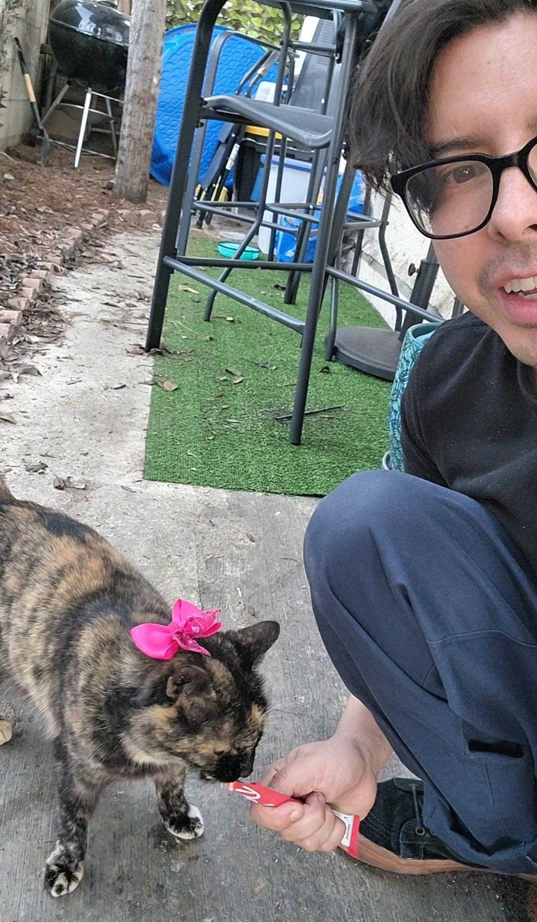 cat, stray cat, Martin Rizo, comedian, viral video