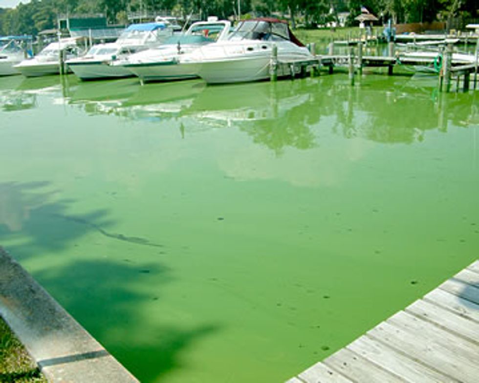 Federal and State Regulators Side with Polluters