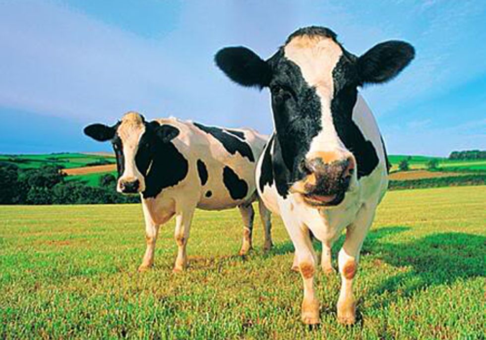 Consumers Win Right to Know What’s in Their Milk