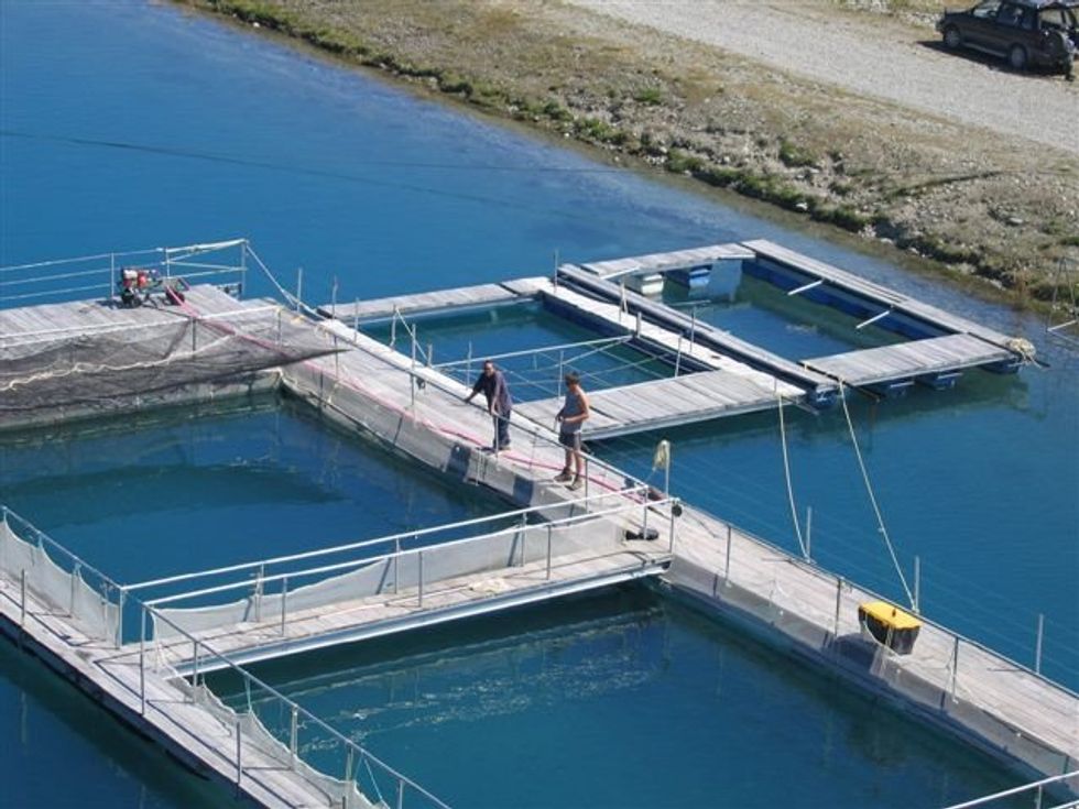 Factory Farming—Not Just on Land Anymore