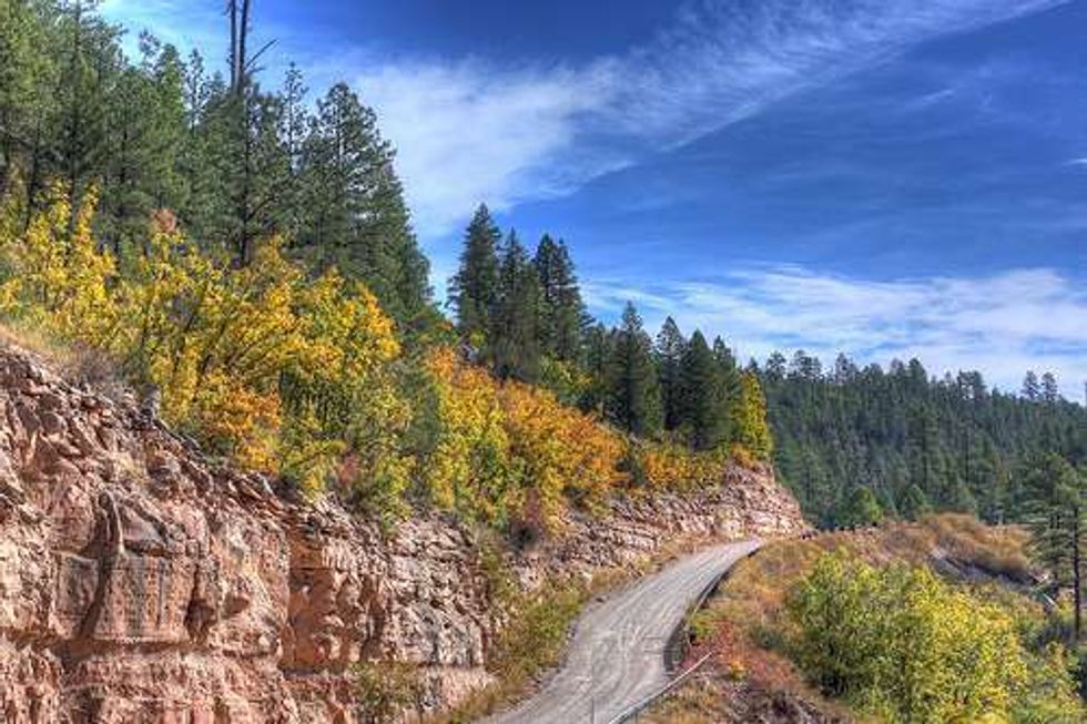 Off-Road Plan Puts Species at Risk in National Forest