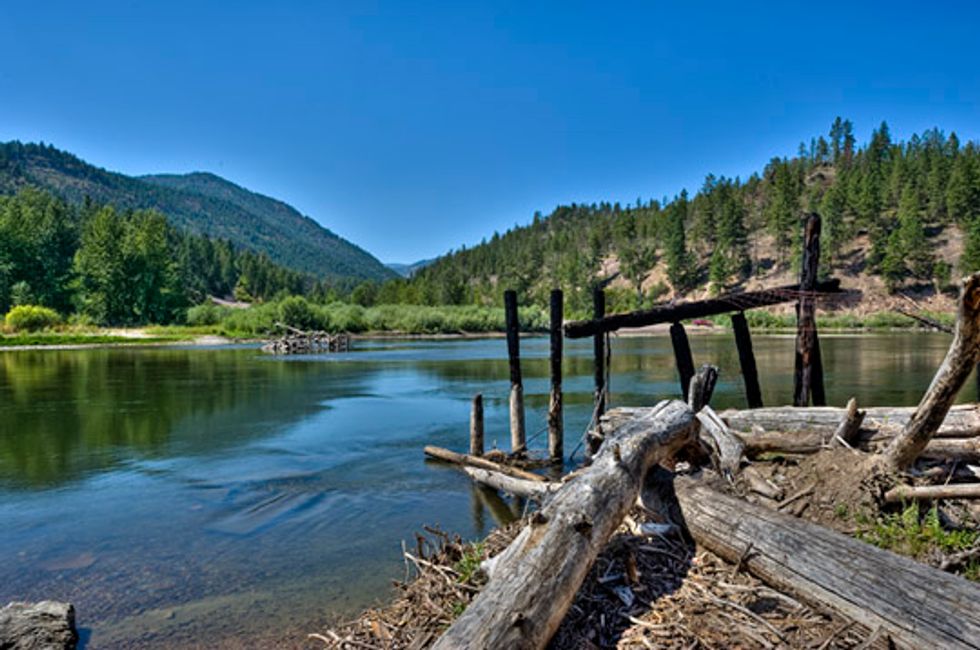 New National Forest Program a Good Start