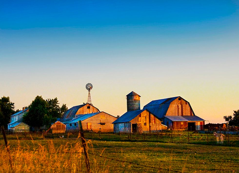 Bold Changes Needed for Federal Farm Bill