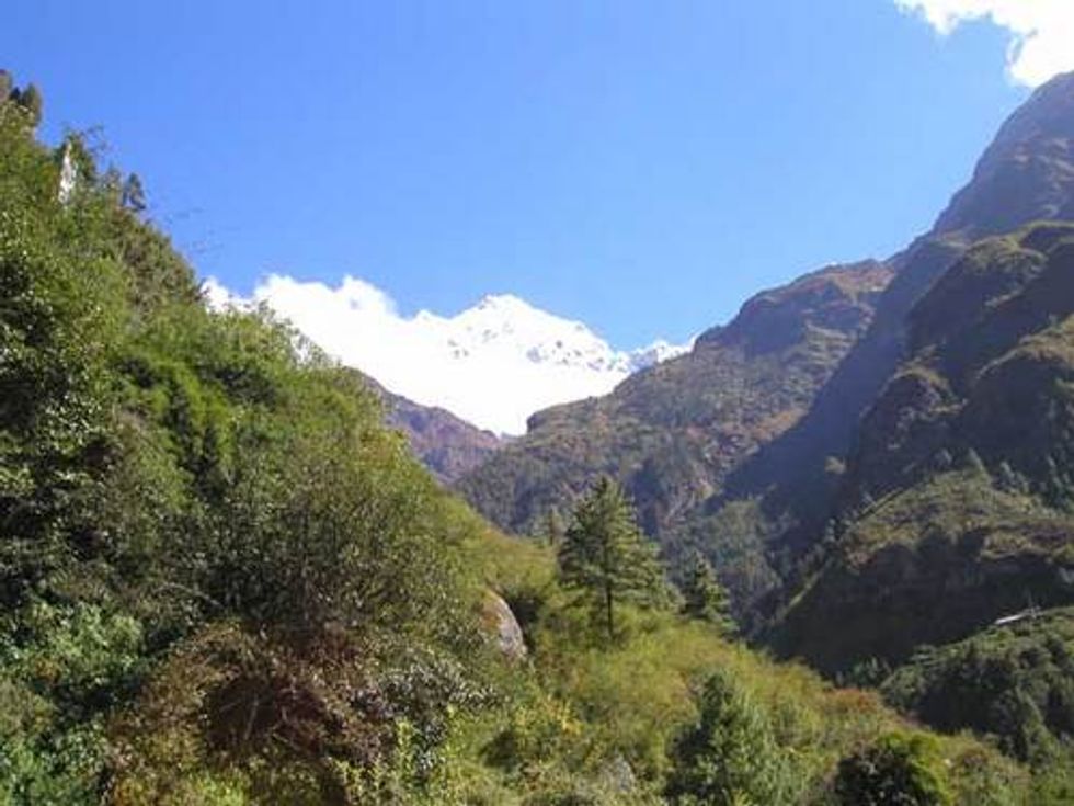 Protecting the Forests of Nepal
