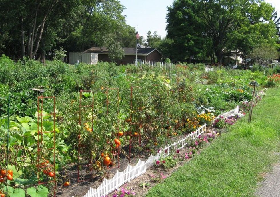 People's Garden Initiative Expanded across the Nation