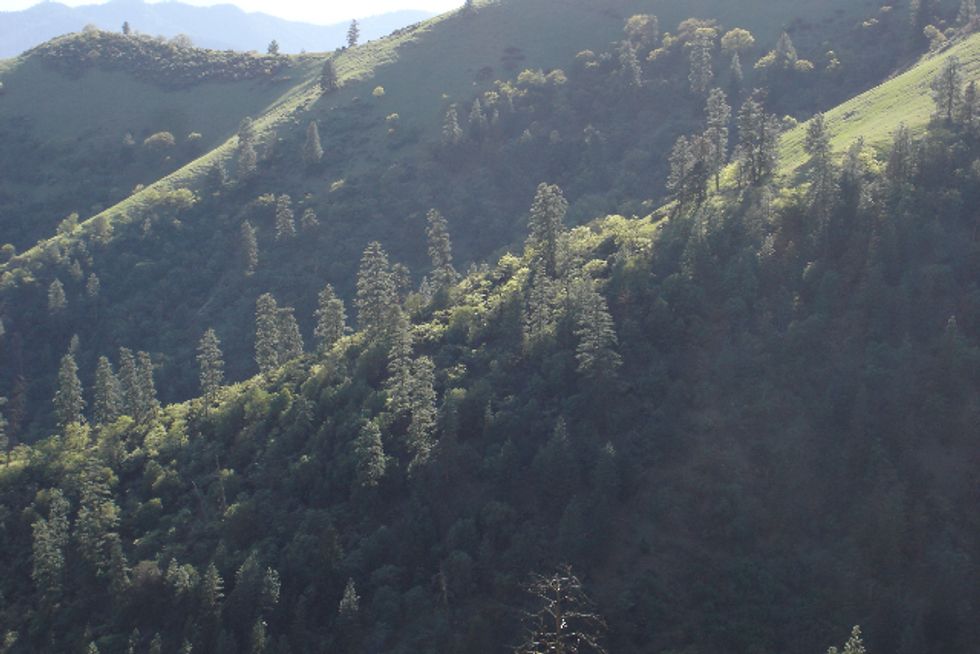 National Roadless Rule Overlooked in Colorado