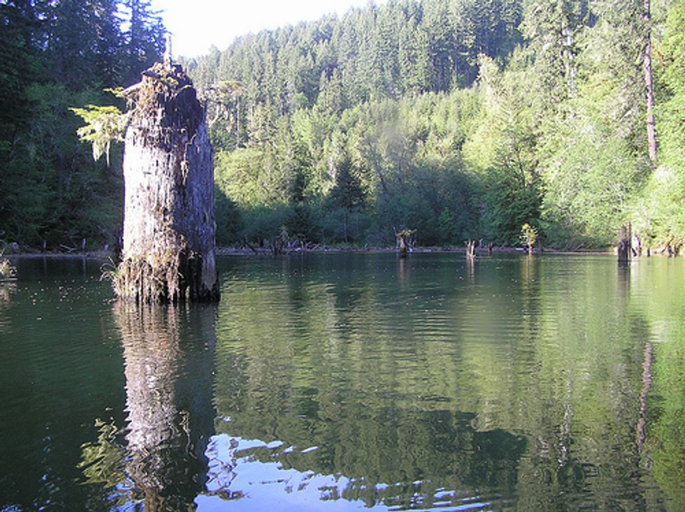 Senate Committee Approves Wilderness Bills