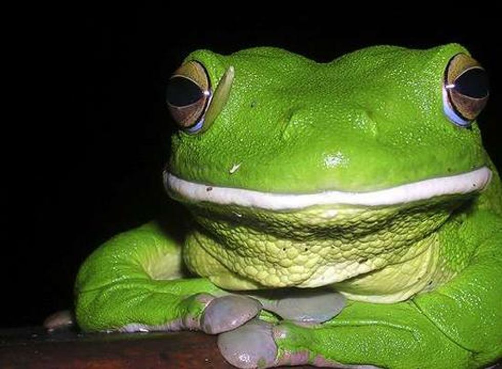 Act Today to Ban Atrazine