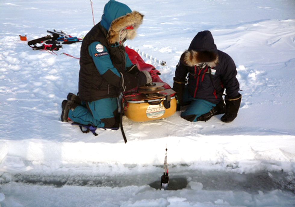 Ice Loss Linked to Rise in Atmospheric Carbon