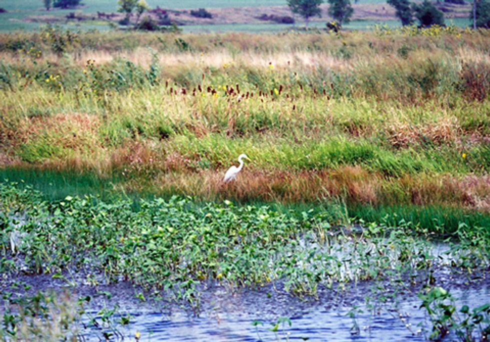 Call Your Senators Today to Support Clean Water