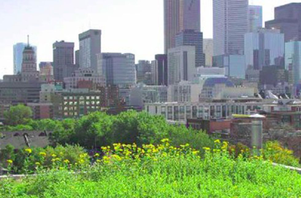 Report Shows Benefits of Green Infrastructure's Impact on Clean Water