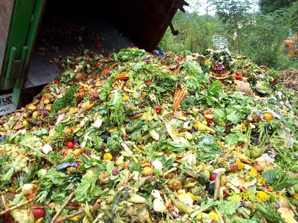 Reducing Food Waste During the Holiday Season