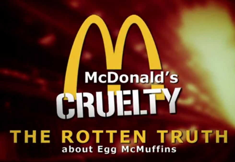 McDonald's Drops Industrial Egg Farm after Cruelty Exposed