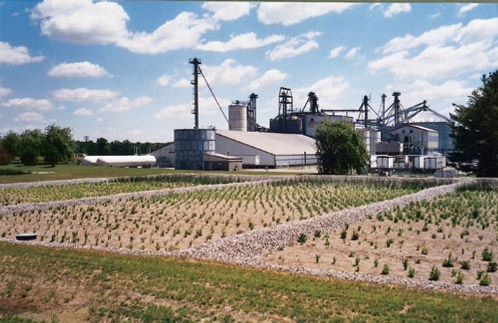 Groups Challenge Ammonia Emissions from Industrial Egg Farm