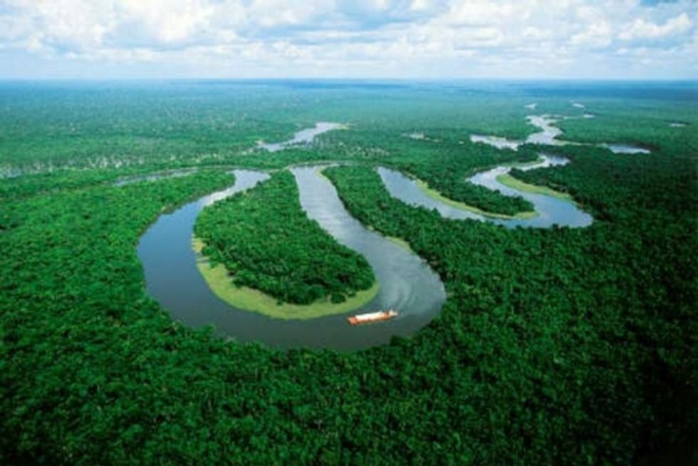 Saving Forests a Critical Step in Curbing Climate Change