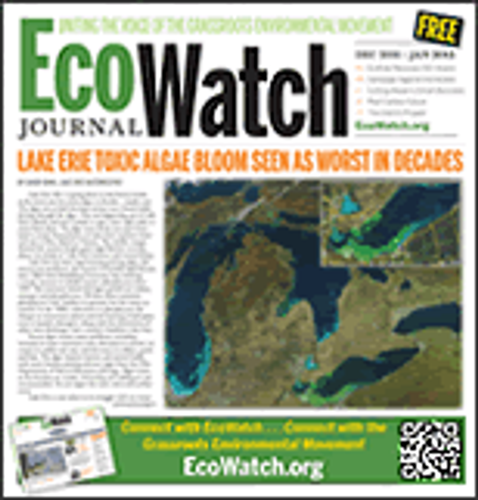 EcoWatch Journal