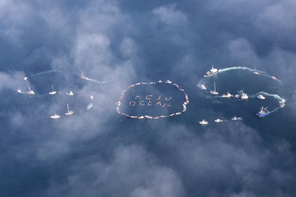 Experts Urge Action to Limit Ocean Acidification